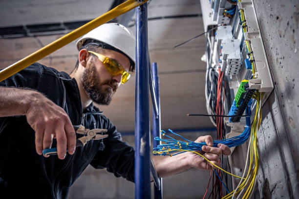 Best Licensed Electrician  in Mapleton, IA
