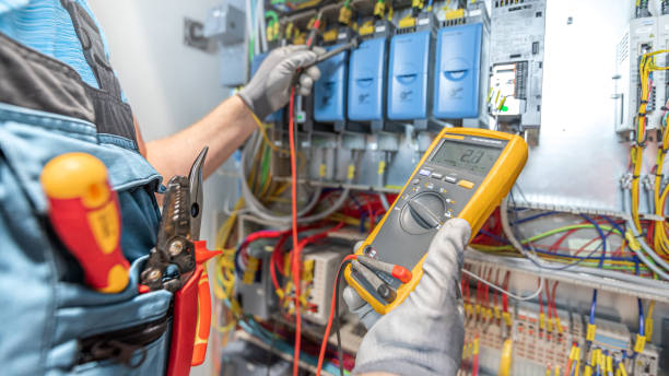 Best Electrical System Inspection  in Mapleton, IA