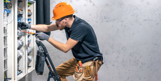 Best Electric Panel Repair  in Mapleton, IA